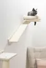 Kerbl Monte Prado, Katzenkratzbaum, Wand-montiert, Beige, Produktbild-Vorschau 13