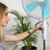 Freistehender Ventilator Cecotec EnergySilence 510 40W ( B) Produktbild-Vorschau 13