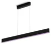 Philips 929003052501 Philips Hue Ensis pendant black 2x39W Voir les images du produit 1
