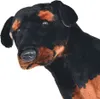 vidaXL Plüschtier Hund Rottweiler Stehend Plüsch Schwarz Produktbild-Vorschau 2