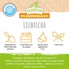 Winterpflanzknoblauch Ljubascha | Pflanzknoblauch von Produktbild-Vorschau 2