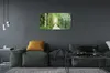 Glasbilder 120x60 Wandkunst Birke Forstweg Produktbild-Vorschau 4