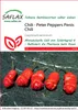 SAFLAX  - Piment - Peter Peppers Pénis Chili - 10 graines - Voir les images du produit 5