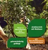 Pflanzerde FloraSelf 60 L Produktbild-Vorschau 3