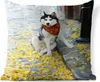 MuchoWow® Outdoor Kissen - Hund - Herbst - Husky - 60x60 cm Produktbild-Vorschau 1