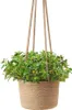 2PCS Panier à plantes tressé Pots à plantes suspendus Voir les images du produit 3