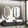 Vrygle Miroir Ovale avec Éclairage : Miroir LED 80x50 cm, Voir les images du produit 3