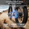 E-Bike Cityrad F26lite 48V 18Ah 864Wh 100km Reichweite Produktbild-Vorschau 6