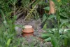 Olla-Flasche-Terracotta-XL Produktbild-Vorschau