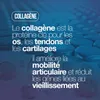 Collagene et Acide Hyaluronique avec Biotine. 240 comprimés Voir les images du produit 2