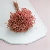 Glixia Getrocknete - (Glixia Marcela) - Rosa Produktbild-Vorschau 5