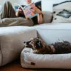 Hunter Orthopädisches Hundesofa Trosa grau, Größe: M Produktbild-Vorschau 3