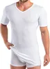 Extralanges Herren kurzarm Shirt +6cm V-Neck mit Bund als Abschluss weiß Produktbild-Vorschau