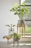 Plante d'intérieur artificielle Monstera, feuille de Voir les images du produit 5