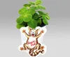 Coleus canin - Verpiss-Dich - Pflanze - 3 Pflanzen Produktbild-Vorschau 3