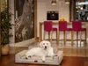 A golden retriever dog rests on a dog bed in a modern kitchen/living area. Produktbild-Vorschau