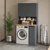 A laundry room setting with a washing machine, storage cabinet, and plant. Anteprima dell’immagine prodotto