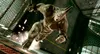 The Amazing Spider-Man Produktbild-Vorschau 5
