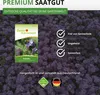 Phacelia Bienenfreund Samen 3 g - Phacelia tanacetifolia - Produktbild-Vorschau 8
