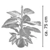 Dieffenbachia umelá rastlina umelá rastlina 75 cm umelá Náhľad obrázku produktu 6