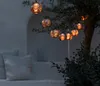 Dehner Solar-Lichterkette Lucena, warmweiß, 8 LED-Lämpchen, Produktbild-Vorschau 7