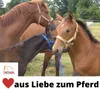 AMKA Doppellonge 16 Meter mit 2 Karabiner + Propylen  Produktbild-Vorschau 6