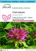 SAFLAX Darčeková sada - včelí balzam - Monarda didyma - 20 Náhľad obrázku produktu 1