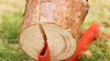 Profi Mechanischer Fuß Holzspalter Brennholz Holzklotz Produktbild-Vorschau 12