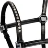 Harry´s Horse Crystal Leather Halfter Schwarz Pony / Foal Produktbild-Vorschau 2