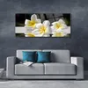 Acrylglasbilder 125x50 Wandbild Druck Blumen Pflanzen Produktbild-Vorschau 3
