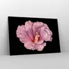 Bilder auf glas - Einteilig - Hibiskus Blume Rosa - Produktbild-Vorschau 4