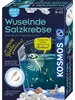 Fun Science Wuselnde Salzkrebse Produktbild-Vorschau 9