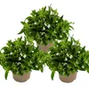 Männertreu hängend - weiss - Lobelia richardii - 11cm - Set Produktbild-Vorschau 2