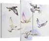 Bild auf Leinwand - Leinwandbild - Vögel Aquarell Wildheit Produktbild-Vorschau 1