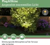 Paulmann Plug & Shine LED Bodeneinbauleuchte Floor Anteprima dell’immagine prodotto 6