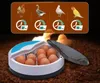 Incubateur d'œufs, pour volaille, oiseaux. Capacité : 9 Voir les images du produit 8