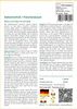 SAFLAX Anzucht Set - Elefantenfuß / Flaschenbaum - Produktbild-Vorschau 3
