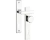 A close-up studio shot of a silver door handle set against a white background. Anteprima dell’immagine prodotto