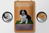 Blechschild Spruch 12x18cm Cavalier King Charles Spaniel Produktbild-Vorschau 2