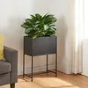A plant stand with a plant on it, next to a sofa and a curtain. Podgląd zdjęcia produktu