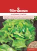 Kopfsalat Ovation | Kopfsalatsamen von Dürr Samen Produktbild-Vorschau 1