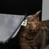 D&D Heizkörper-Hängematte I Love Happy Cats "Oliver" grau Produktbild-Vorschau 5