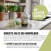 REAVET Ohrmilbenöl Plus 50ml sofort wirksames Mittel für Produktbild-Vorschau 3