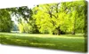 Tulup Leinwand-Bilder 125x50 Wandbild Canvas Kunstdruck Produktbild-Vorschau 1