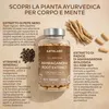 Aavalabs Ashwagandha KSM-66® | 1000 mg | Stress e sonno | Anteprima dell’immagine prodotto 6
