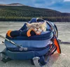 Kurgo G-Train K9 Pack Hunderucksack, Farbe:Navy blau Produktbild-Vorschau 6