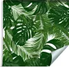 Tapeta Ścienna  Abstrakcyjne Egzotyczne LIŚCIE Monstera Podgląd zdjęcia produktu 1