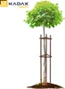 KADAX Sostegno per alberi da 150 cm in legno robusto, Anteprima dell’immagine prodotto 5