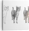 Bild auf Leinwand - Leinwandbild - Katzen Tiere Kinder Produktbild-Vorschau 1