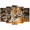 5-teiliges leinwandbild afrika tiger tiere 150x100 cm Feeby Produktbild-Vorschau 2